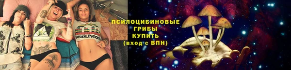 спиды Абдулино