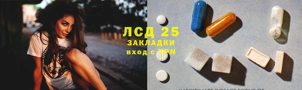 дживик Абинск