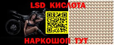 спайс Краснознаменск