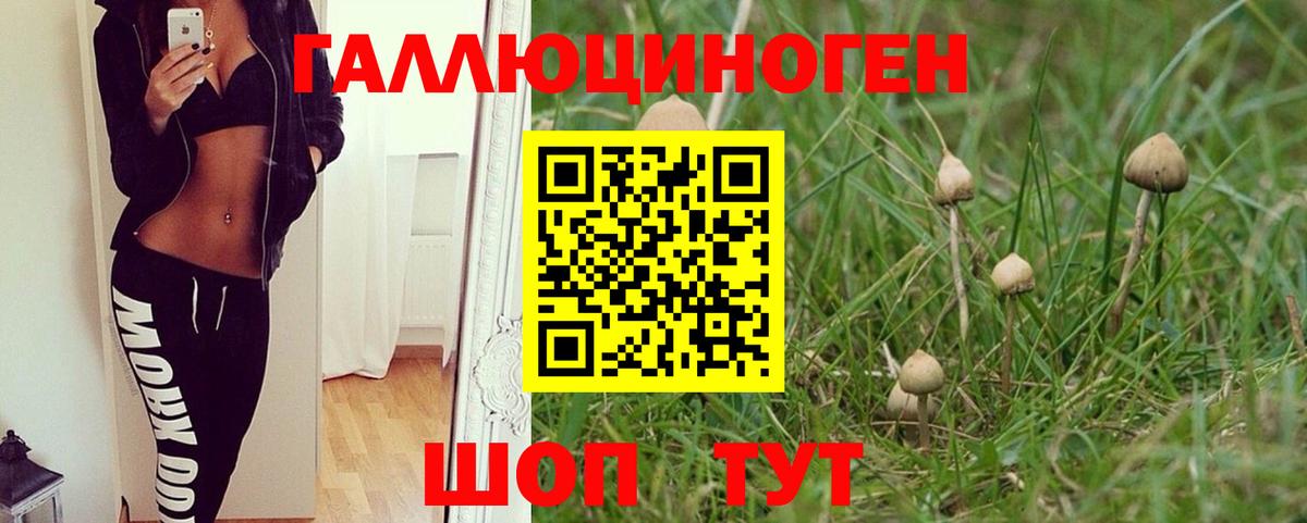 Галлюциногенные грибы ЛСД  Галлюциногенные грибы мицелий  Тында  Вход с VPN 